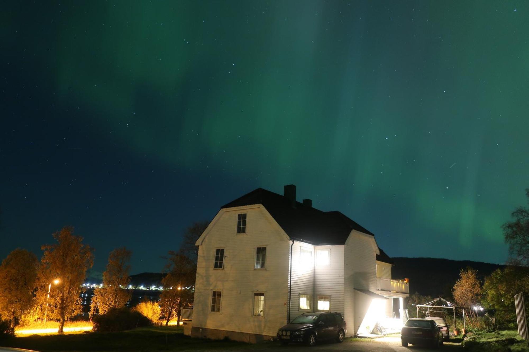 Farmroom With Sauna And Aurora Narvik Esterno foto